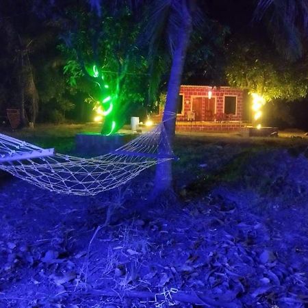 Revadanda Pratik Mango Farm Houseヴィラ エクステリア 写真