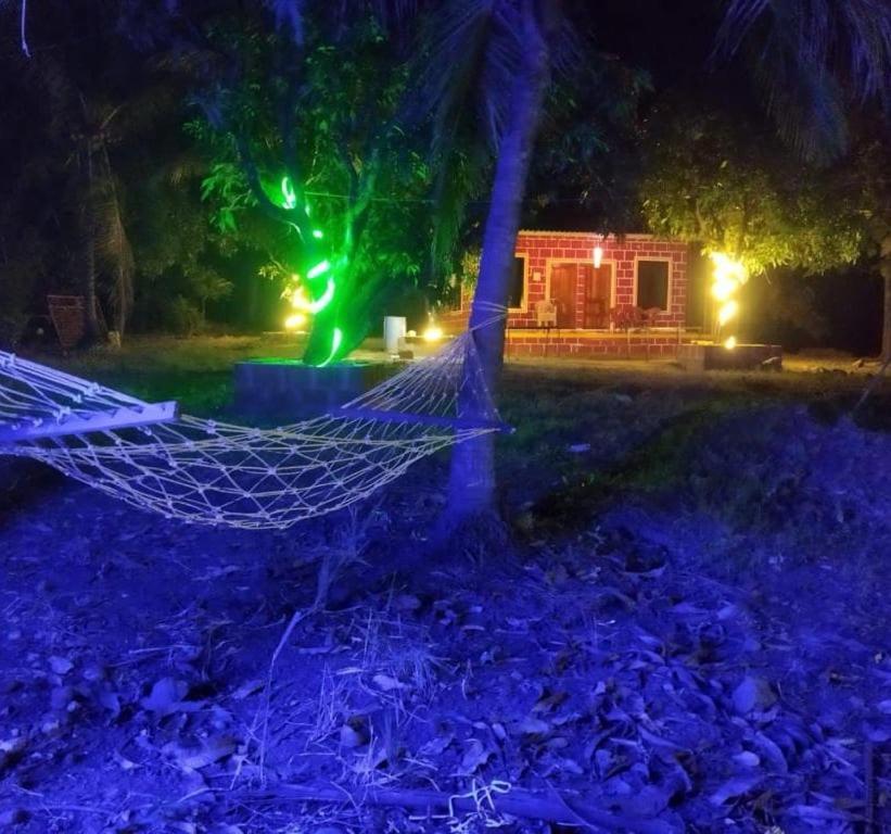Revadanda Pratik Mango Farm Houseヴィラ エクステリア 写真