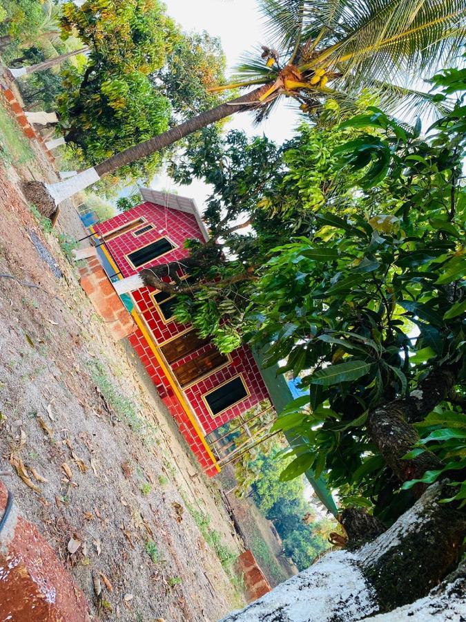 Revadanda Pratik Mango Farm Houseヴィラ エクステリア 写真