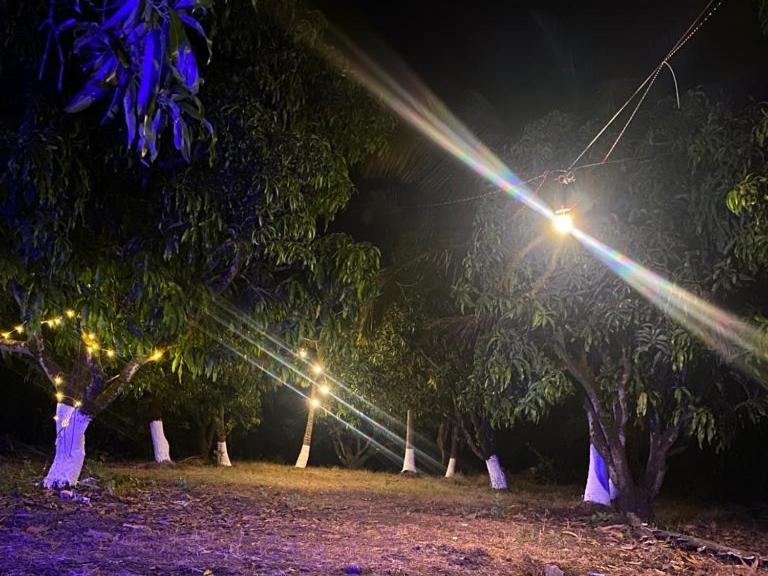 Revadanda Pratik Mango Farm Houseヴィラ エクステリア 写真